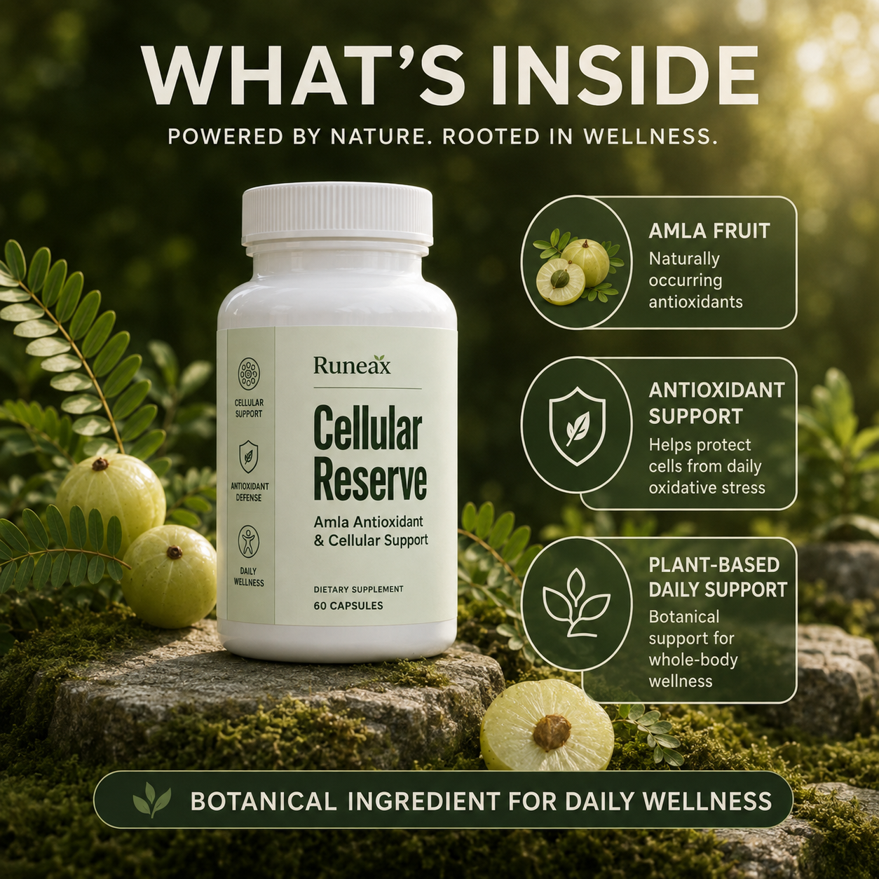 Amla Antioxidant & Cellular Support