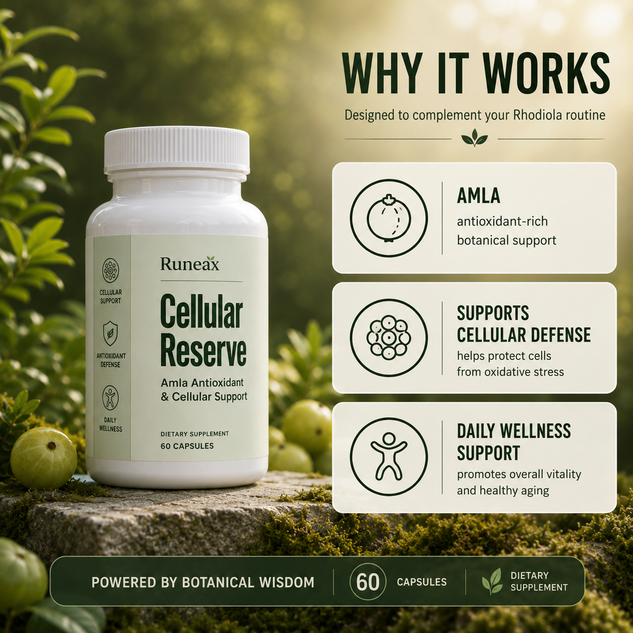 Amla Antioxidant & Cellular Support